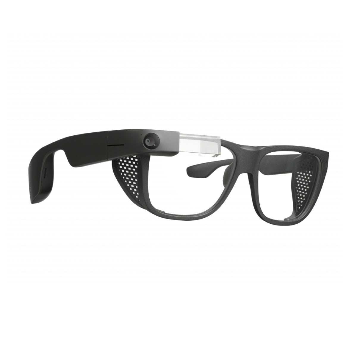 Envision Glasses: Professional Edition- AI-powered smartglasses